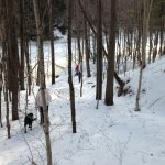 Sentier de la riviÃ¨re du ChÃªne
