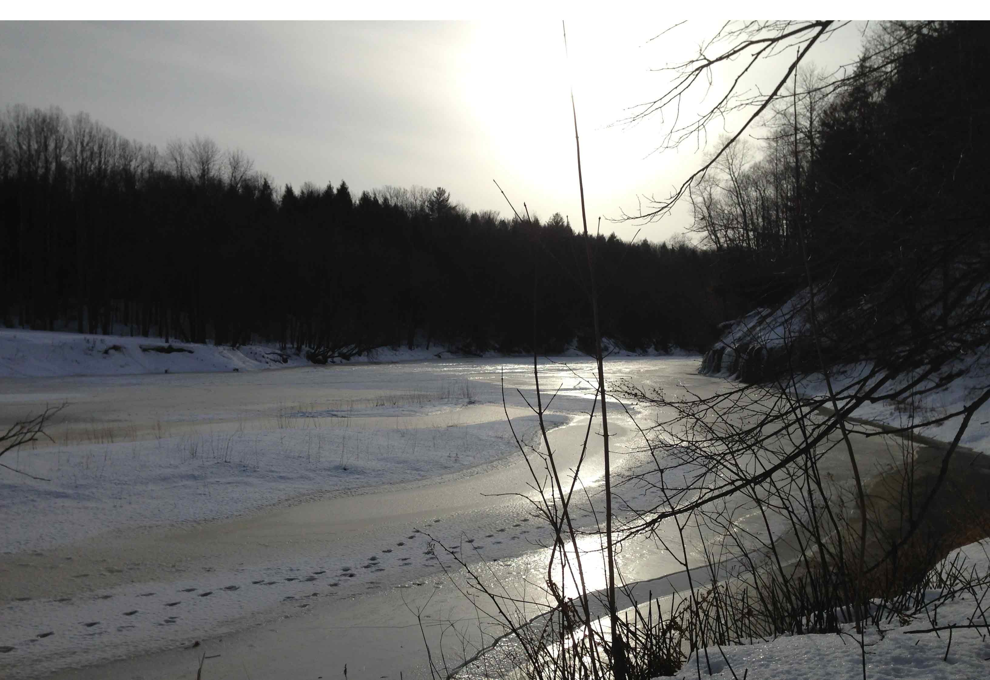 La rivière du Chêne